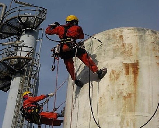 PF-Microsite_512x412_Incene.jpg