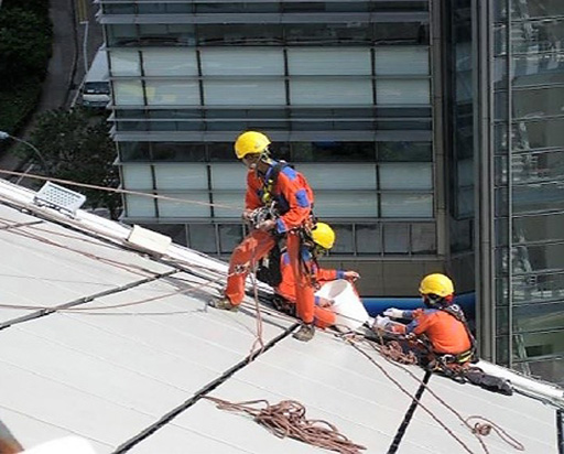 PF-Microsite_512x412_Lighti.jpg